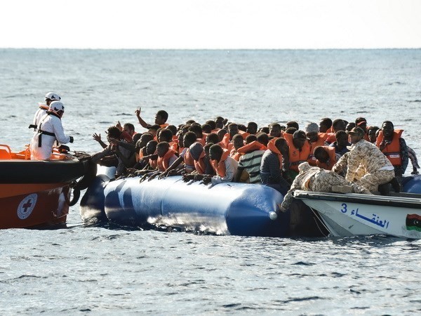 Libia menyelamatkan hampir 500 migran - ảnh 1