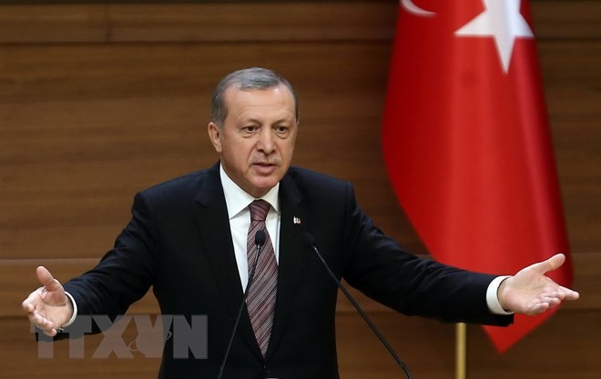 Recep Tayyip Erdogan merebut kemenangan dalam pilpres di Turki - ảnh 1