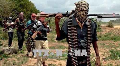 Banyak serdadu Niger tewas karena diserang oleh kelompok teroris - ảnh 1