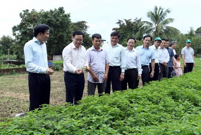 Deputi PM Vuong Dinh Hue melakukan temu kerja di Provinsi Dien Bien - ảnh 1
