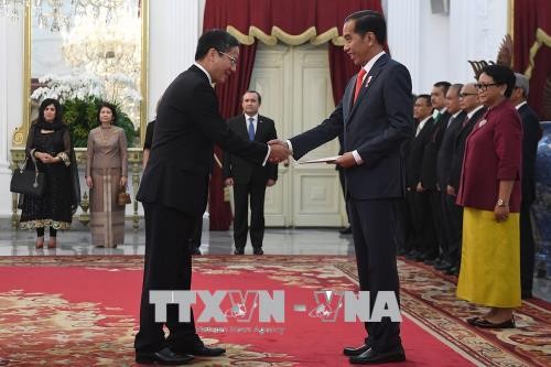 Dubes Vietnam di Indonesia, Pham Vinh Quang menyampaikan surat mandat kepada Presiden Indonesia, Joko Widodo - ảnh 1