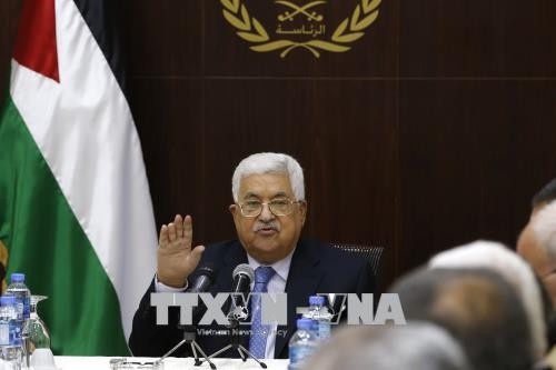 Presiden Palestina: AS sedang menyabot proses perdamaian di Timur Tengah - ảnh 1
