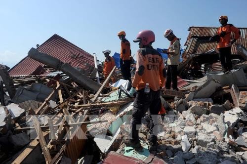 Indonesia siap memulai program rekonstruksi setelah musibah gempa dan tsunami  - ảnh 1