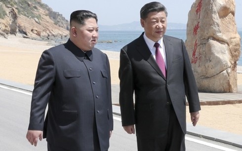 Presiden Tiongkok akan melakukan kunjungan ke Republik Korea dan RDRK pada tahun 2019 - ảnh 1