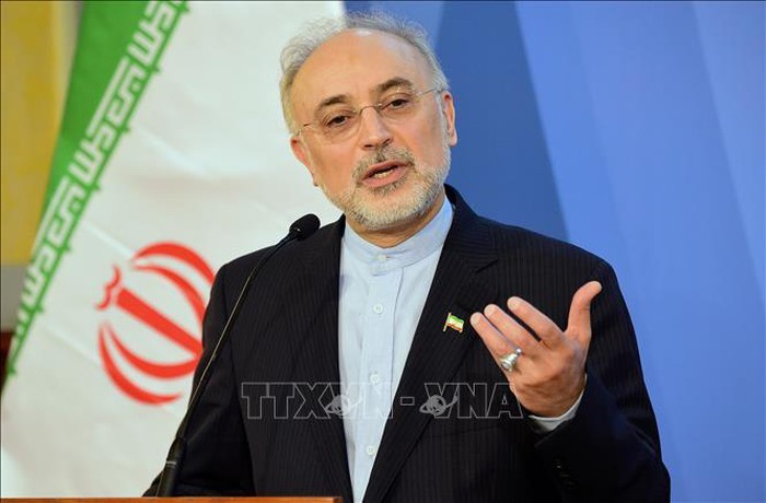 Iran memperingatkan akibatnya kalau JCPOA dibatalkan  - ảnh 1