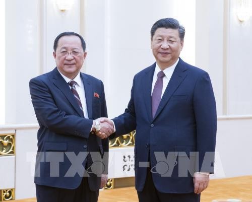 Media RDRK memberitakan tentang pertemuan Menlu Ri Yong-ho dengan Presiden Tiongkok, Xi Jinping - ảnh 1