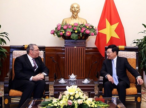 Deputi PM, Menlu Vietnam, Pham Binh Minh menerima Dubes Mesir - ảnh 1