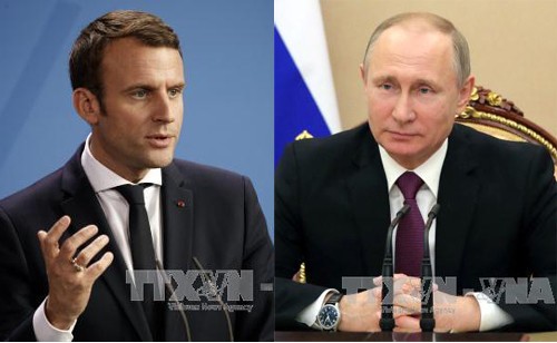 Pemimpin Rusia dan Perancis melakukan pembicaraan telepon tentang situasui Suriah dan Ukraina - ảnh 1