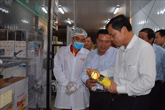 Vietnam menjadi pasar yang potensial bagi ikan patin  - ảnh 1