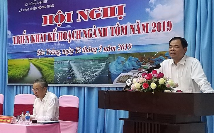 Perikanan Vietnam menargetkan akan mencapai ekspor udang sebanyak 4,2 miliar USD pada tahun 2019 - ảnh 1