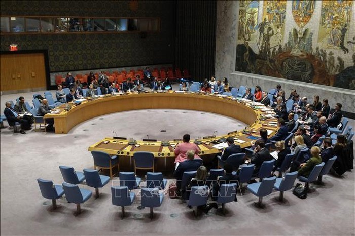 DK PBB mengadakan persidangan yang mendesak tentang situasi Dataran Tinggi Golan - ảnh 1