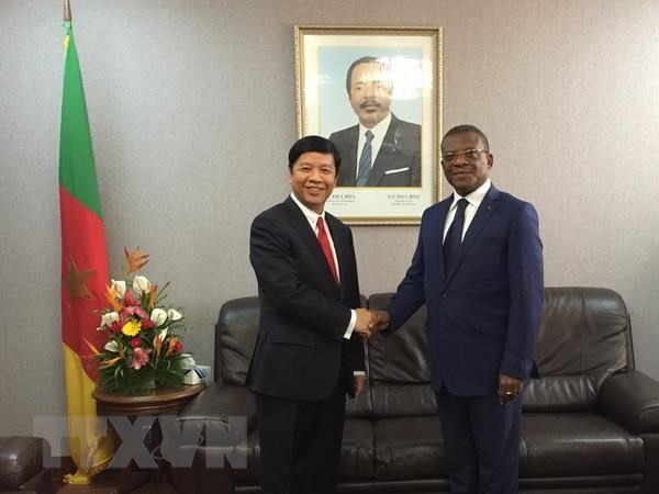 Utusan Khusus PM Pemerintah, Deputi Menlu Nguyen Quoc Cuong melakukan kunjungan kerja di Republik Kamerun  - ảnh 1