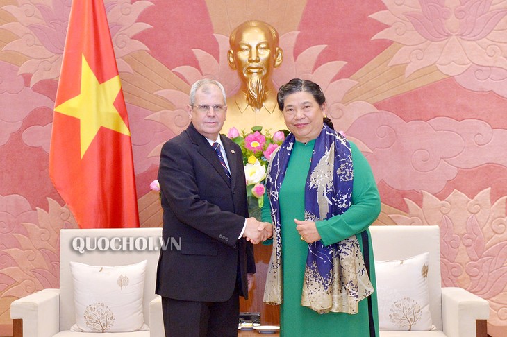 Wakil Harian Ketua Tetap Majelis Nasional Vietnam, Tong Thi Phong menerima Delegasi Parlemen Kuba - ảnh 1