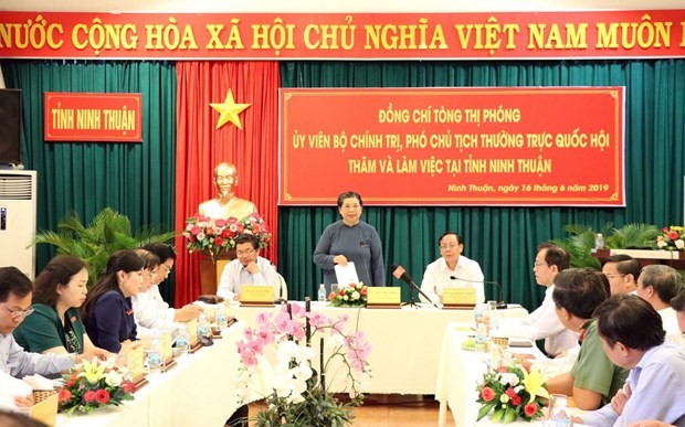Wakil Harian Ketua MN Tong Thi Phong melakukan temu kerja di Provinsi Ninh Thuan - ảnh 1