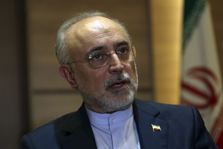 Iran menyatakan telah mengayakan 24 ton uranium - ảnh 1