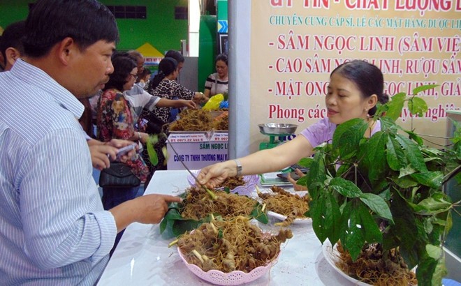 Pembukaan Pesta Ginseng Ngoc Linh ke-3 tahun 2019 - ảnh 1