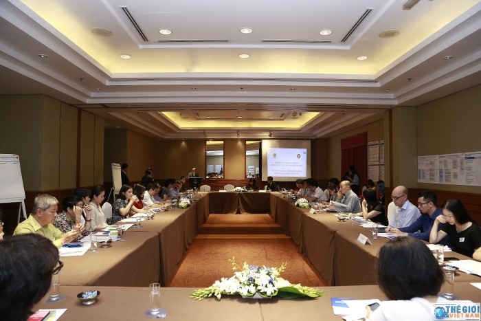 Sidang konsultasi nasional tentang penilaian penggelaran Rencana pekerjaan Gagasan Integrasi ASEAN untuk tahap ketiga - ảnh 1