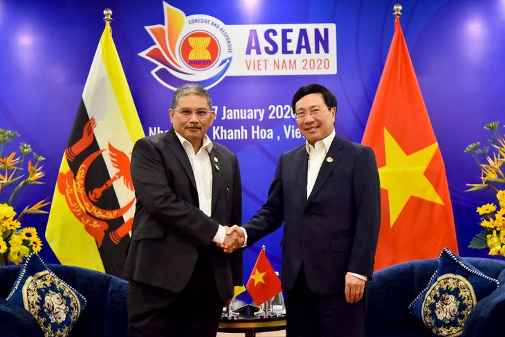 Deputi PM, Menlu Pham Binh Minh menerima Menlu Kedua Brunei Darussalam - ảnh 1