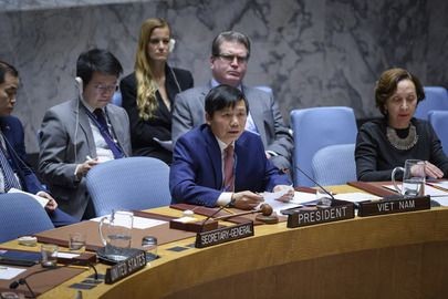 Negara-negara anggota DK PBB menyatakan kekhawatiran terhadap situasi kemanusiaan di Suriah - ảnh 1