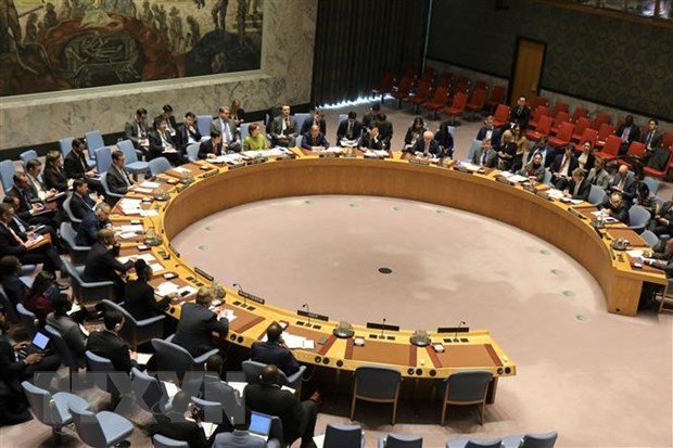 Vietnam memimpin sidang DK PBB tentang masalah-masalah di Siprus dan Libia - ảnh 1