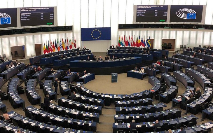 Parlemen Eropa membahas Perjanjian Perdagangan Bebas Uni Eropa –Vietnam - ảnh 1