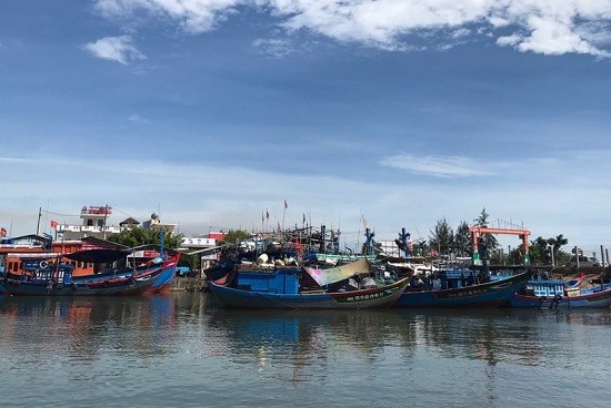 Provinsi Quang Ngai: Kaum nelayan dengan aktif memasang alat pengawasan kapal ikan - ảnh 1