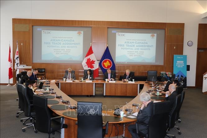 Lokakarya tentang Perjanjian Perdagangan Bebas ASEAN-Kanada - ảnh 1