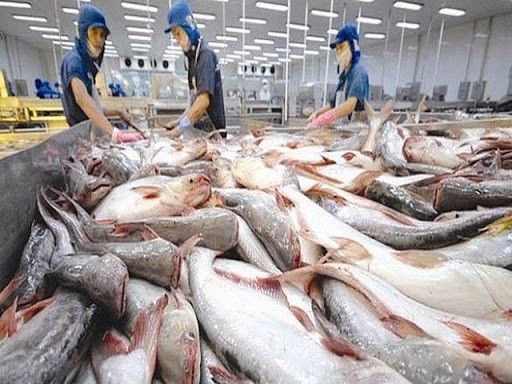 Tarif anti-dumping terhadap ikan patin dari Vietnam ke AS turun - ảnh 1
