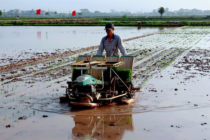 Para Petani di Pinggiran Kota Hanoi Meningkatkan Mekanisasi dalam Produksi Pertanian - ảnh 2
