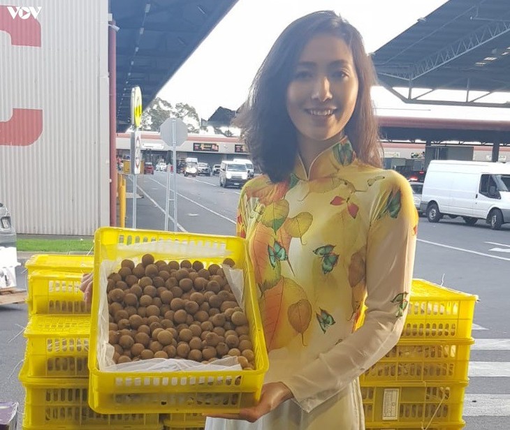 Kelengkeng segar Vietnam masuk ke pasar Australia - ảnh 1