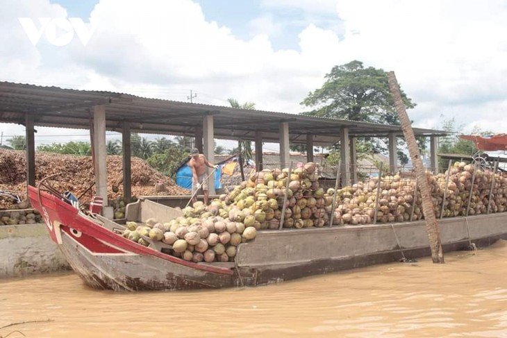 Para Petani Provinsi Ben Tre Memperhatikan Pembangunan dan Penyelesaian Rantai Nilai Hasil Pertanian - ảnh 2