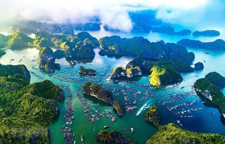 Melindungi Samudera dan Mengembangkan Mata Pencaharian Laut Vietnam yang Berkelanjutan - ảnh 1