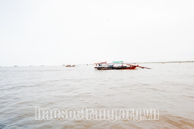 ​Pekan Laut dan Pulau Vietnam: Melindungi Samudera dan Mengembangkan Mata Pencaharian Laut yang Berkelanjutan - ảnh 1