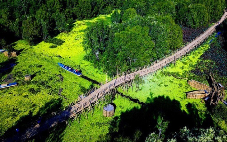 Keindahaan Hutan Bakau Tra Su di Provinsi An Giang - ảnh 12