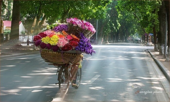 Ikhtisar Surat Para Pendengar dan Perkenalan Sepintas tentang Pemandangan Musim Gugur di Hanoi - ảnh 2