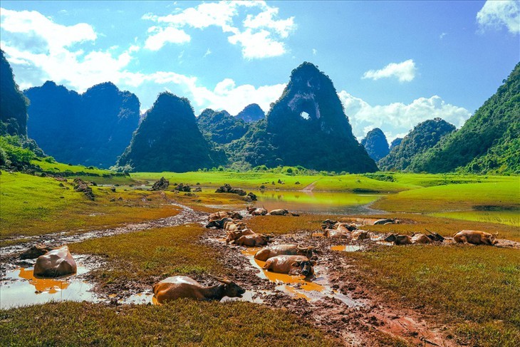 Keindahan Gunung Mata Dewa, Cao Bang - ảnh 3