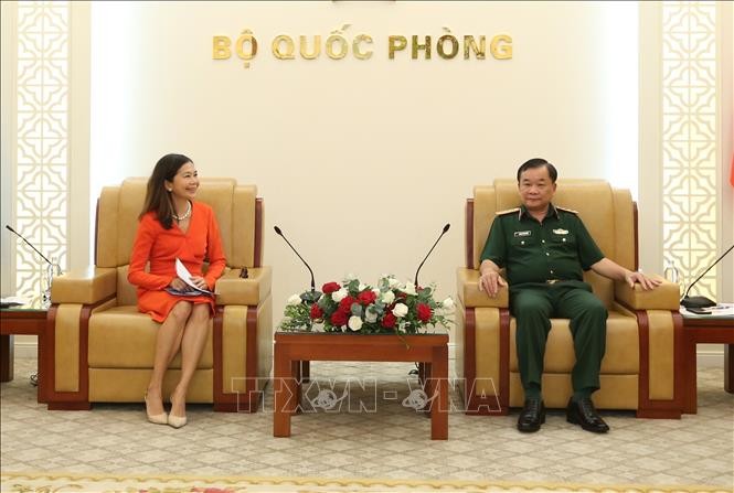 Vietnam Akan Berpartisipasi secara Lebih Intensif dan Ekstensif dalam Kegiatan Penjaga Perdamaian PBB - ảnh 1
