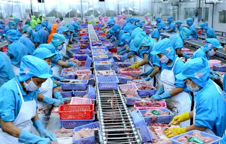 Ekspor Hasil Pertanian, Hasil Kehutanan, dan Hasil Perikanan Vietnam Meningkat Lebih Dari 13% - ảnh 1