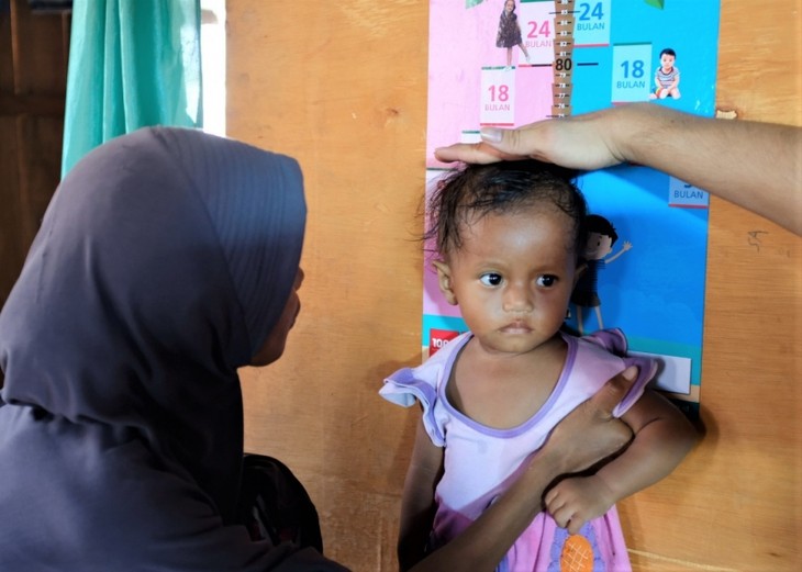 Indonesia Bertekad untuk Mengatasi Masalah Stunting di Kalangan Anak-Anak - ảnh 2