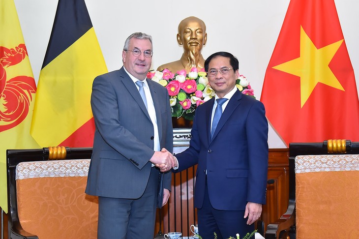 Wallonia-Brussel Terus Seiring-Sejalan dan Dukung Vietnam untuk Berkembang secara Berkelanjutan - ảnh 1
