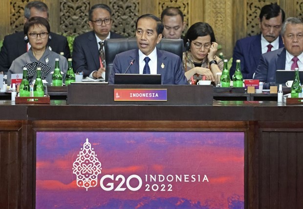 Presiden RI Sebutkan Empat Capaian Besar pada KTT G20 - ảnh 1