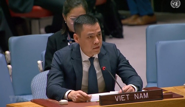 Vietnam Imbau DK PBB dan Anggotanya Menjadi Pelopor dalam Jamin Penghormatan terhadap Piagam PBB dan Supremasi Hukum - ảnh 1