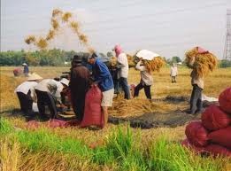 Vietnam bemüht sich um eine schnelle und nachhaltige Armutsminderung - ảnh 1