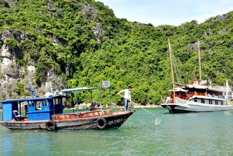 Bewahrung des Weltnaturerbes Ha Long- Bucht - ảnh 1