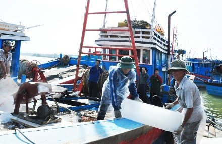 Fischernetz für Fischer auf Inselgruppen Hoang Sa und Truong Sa - ảnh 1