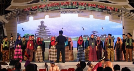 Erbefestival in Quang Nam - ảnh 1