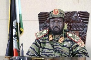 Südsudan: Viele Ex-Politiker sind wegen Putschversuchs festgenommen worden - ảnh 1