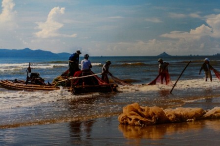 Schöne Momente mit Landschaft und Menschen Vietnams - ảnh 10