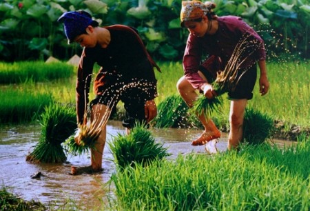 Schöne Momente mit Landschaft und Menschen Vietnams - ảnh 8