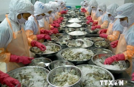 VASEP klagt gegen Antidumpingzölle für Garnelen aus Vietnam - ảnh 1